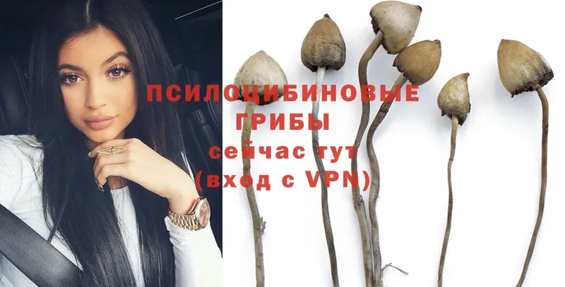 дарк нет как зайти  где можно купить   Островной  Псилоцибиновые грибы Magic Shrooms 